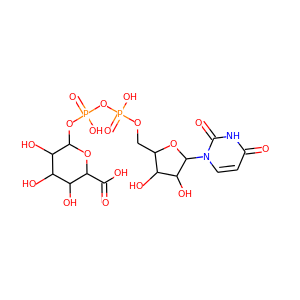 UDP-glucuronic acid